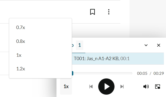 Audio_klein.jpeg